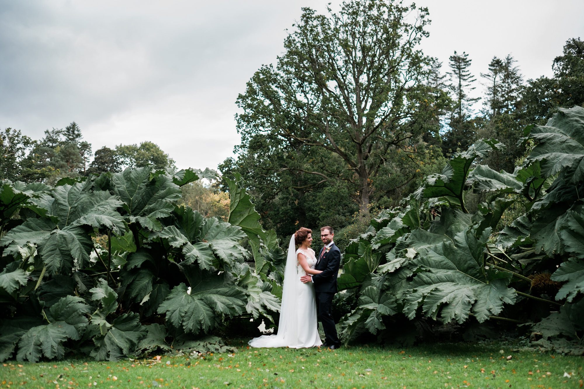 bride and groom amongst massive leaves by lake at Larchfield