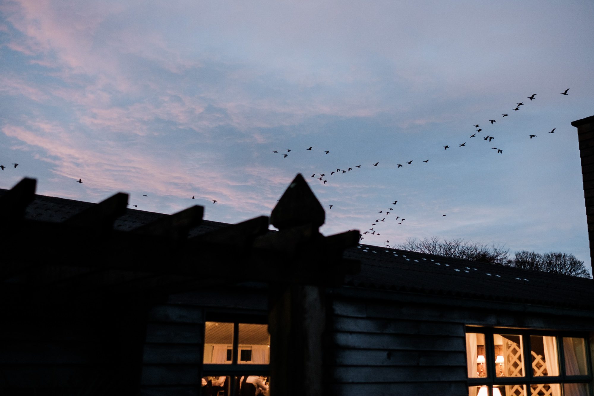 geese flying over evening reception at Lissanoure Castle